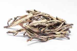 Mancha de incienso suelta en racimo de yerba Santa NessaStores California (2 oz) #JC-62 - Imagen 1 de 3