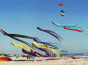 Postcard North Carolina Wrightsville Beach Cape Fear Kite Festival Unused MINT - Picture 1 of 1