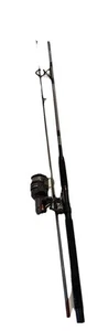 Master Spectra Composite Spinning Rod 8’0" Model 3210 GR 2 Piece Daiwa BW7000 - Picture 1 of 7