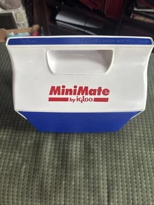 Vintage MiniMate Cooler Igloo Push Button Lunch Box Drink USA Red White Blue - Picture 1 of 5
