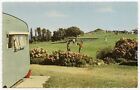 (ay72) Ventnor Flowers Brook The Putting Green - Isle of Wight Postcard