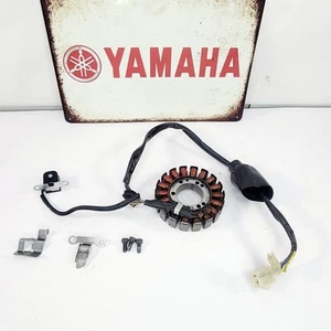 2005 1999-2006 YAMAHA TTR 250 Stator Magneto Rotor Ignition Yamaha OEM - Foto 1 di 12