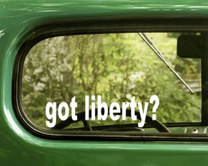 2 GOT LIBERTY? DECALS 2nd Amendment Sticker Die Cut For Car Bumper Window Rv - Imagen 1 de 1