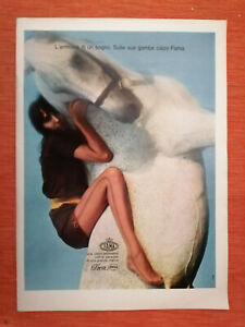 PUBBLICITA' ORIGINALE - ADVERTISING CALZE DONNA "FAMA" del 1969