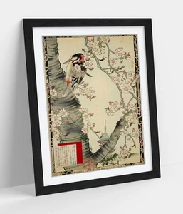 BIRDS & FLOWER BY KONO BAIREI , JAPANESE UKIYO-E -FRAMED ART PICTURE PAPER PRINT - Picture 1 of 10