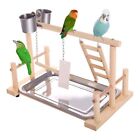 RoseFlower Parrot Playstand Bird Playground Wood Perch Gym Playpen with Feeder C