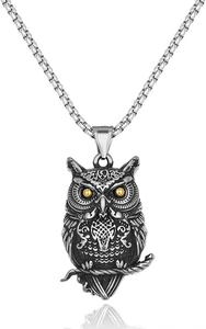 Wise Owl Necklace for Men Women Lucky Wisdom Pendant Jewelry Gifts 23.6" Chain - Picture 1 of 5