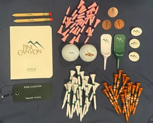 PINE CANYON COUNTRY CLUB Flagstaff Arizona Souvenir pack Balls-Tag-Tees-Mark #1 - Picture 1 of 5