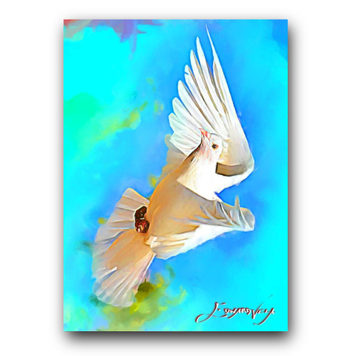White Dove Art Card Limited 44/50 Edward Vela Signed (Animals Birds) | eBay