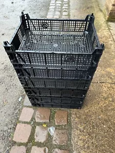 6x Dark Colour Shallow Size Ideal for garden seed trays or storage - Picture 1 of 5