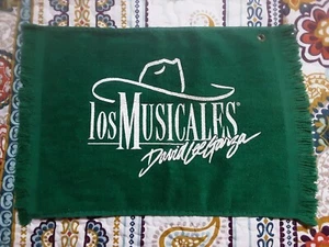 DAVID LEE GARZA Y LOS MUSICALES..VINTAGE 11in X 17in TOWEL - Picture 1 of 3