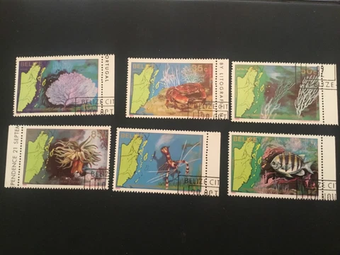 ICOLLECTZONE  Belize 646-651 VF used shells and fish Cover