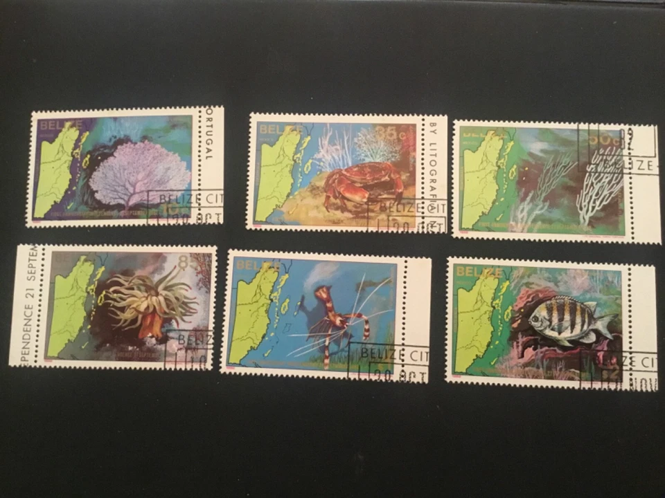 IOLLECTZONE 伯利兹 646-651 VF 二手贝壳和鱼 — 第 1/1 张图片