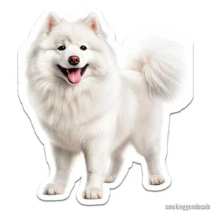 Samoyed Dog, Vinyl Decal Sticker, Indoor Outdoor, 3 Sizes, #12150 - Picture 1 of 1