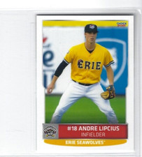2021 Erie SeaWolves (Double A-Detroit Tigers) Andre Lipcius