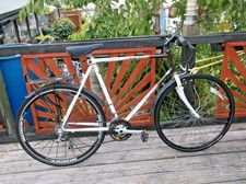 raleigh pioneer trail womens review