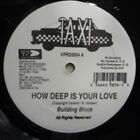 Building Block / Leba Hibbert How Deep Is Your Love / Digging STILL SEALED