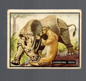 Tarjeta Bring 'Em Back Alive - # 1 - (1950 TOPPS) - Espalda bronceada - Imagen 1 de 2