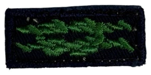 Scouter's Training Award Adult Leader Knot Cloth  - Picture 1 of 2