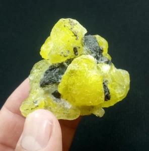 Brucite aus Belutschistan Pakistan. - Bild 1 von 4