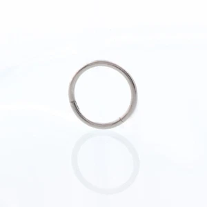 Fashion Surgical Steel Double Stack Hoop Clicker Nose Ear Hinged Tragus Ring - Picture 1 of 20