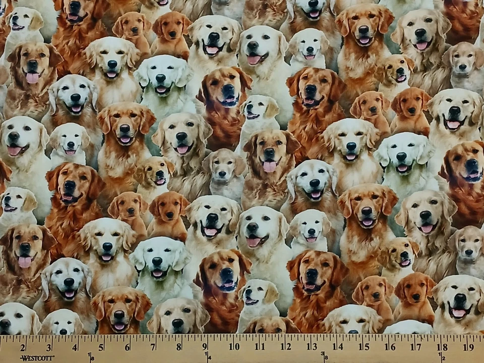 Algodón Best Friend Retrievers Perros Tela Algodón Estampado por Yarda D759.63 Foto 1 de 1