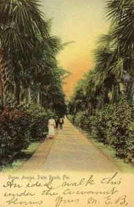 1902 PALM BEACH FL Ocean Avenue Rotographie Postkarte - Bild 1 von 1