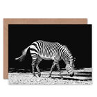 Lone Zebra Bw Blank Greeting Card With Envelope
