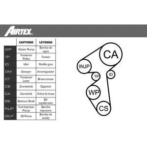 Water Pump & Timing Belt Set for CITROËN FIAT FORD MAZDA PEUGEOT VOLVO:3,3 I - Picture 1 of 3