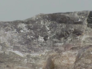 FRANKAMENITA Y CHAROITA de Rusia * TIPO DE LOCALIDAD * 1,9 cm - Imagen 1 de 6