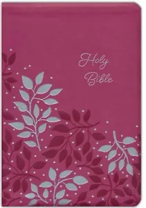 NIV Large Print Bible & Journal Devo 8-Piece Accessory - Picture 1 of 9