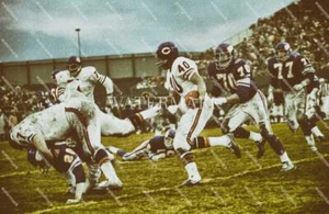E488 Gale Sayers Bears Sweep vs Vikings 8x10 11x14 16x20 Oil Painting Photo - Picture 1 of 1