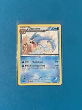 Pokémon TCG Gyarados XY 24/124