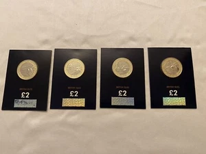 2021 Isola di Man Suffragetta £2 Set BUNC 4 COIN SET Sigillato Coin Checker Cardato - Foto 1 di 2