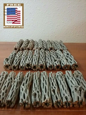 NEW 30 pcs CHOLLA Wood | 3 Sizes Multi-Pack | Organic Driftwood | Craft Aquarium - Image 1 of 4