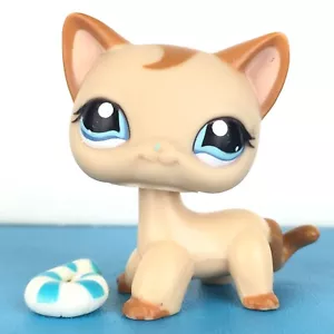 Auténtico Littlest Pet Shop #1024 gato de pelo corto/original Hasbro LPS - Imagen 1 de 4