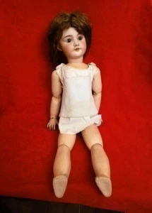 SFBJ Doll - Picture 1 of 15