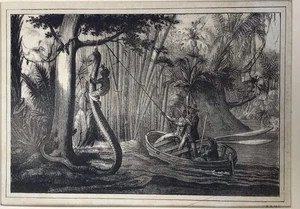 Antique Steel Engraving Print India Art Hunting Snake Python Shikar - Picture 1 of 3