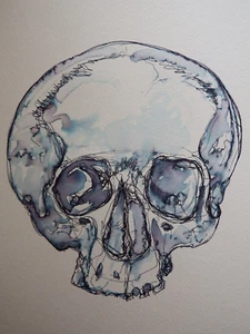 Original small pen & ink blue tint wash drawing on ivory paper of a human Skull - Picture 1 of 12