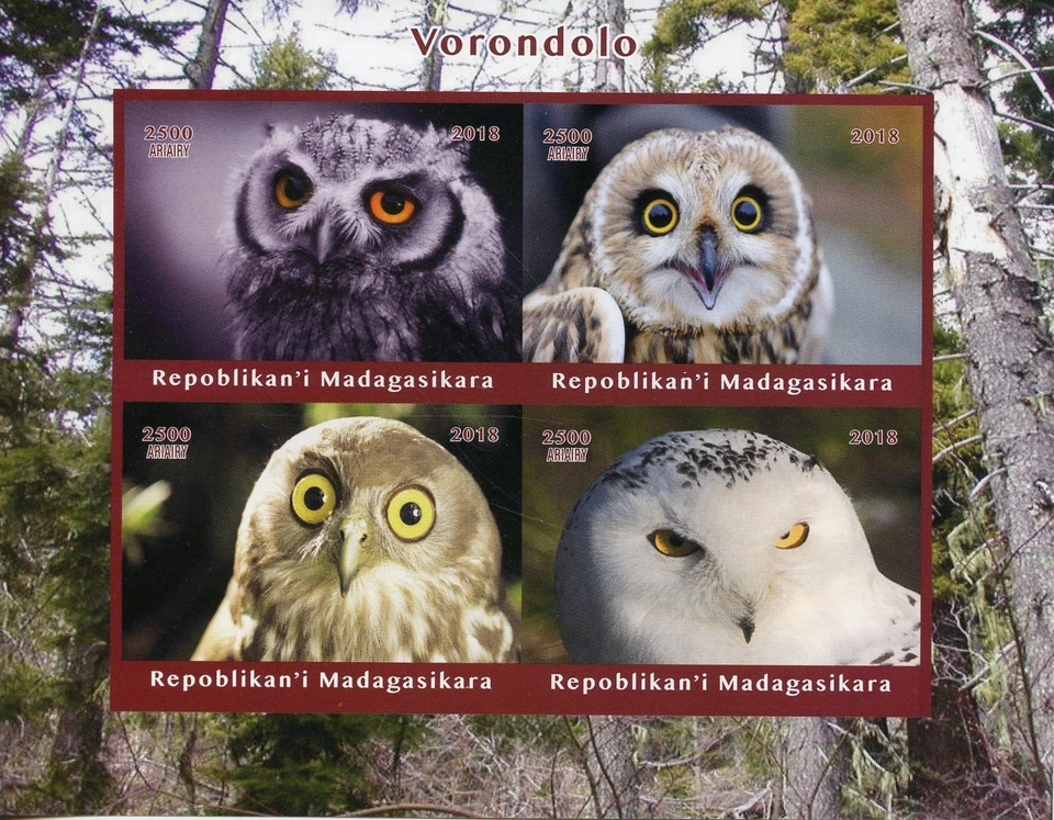 Madagascar 2018 MNH Owls Little Snowy Owl 4v Impf M/S Birds of Prey Stamps - Image 1 of 1