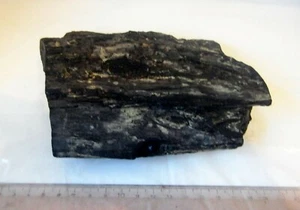 ULTRA RARE HUGE WHITBY JET SPECIMEN NATURAL FOSSIL  MINERAL 429g 150mm st17  - Picture 1 of 5