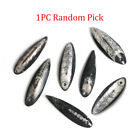 1PC 4-6CM Random Orthoceras Fossil Pendant for Necklace Jewelry Making Gemstone