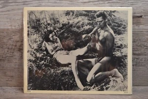 WEISSMÜLLER & O'SULLIVAN Tarzan und Jane 8x10 Foto Film Stills Print - Bild 1 von 5