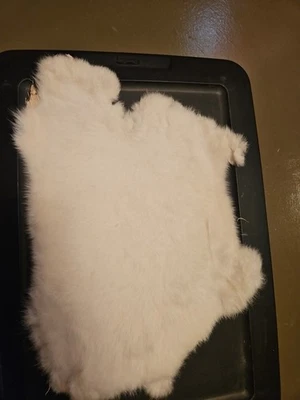 Genuine SOLID WHITE DYED? RABBIT SKIN FUR LEATHER PELT SOFT HIDE CRAFT GRADE  - Image 1 of 2