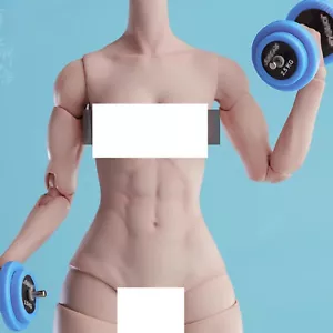 1/6 Female Muscle Joint Body Soldier 12 inch Action Figure Model Collection - Bild 1 von 19