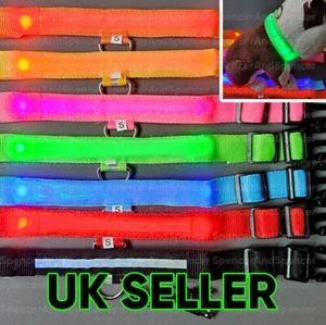 Collare LED ricaricabile USB cane animale domestico lampeggiante illuminazione di sicurezza luminosa nylon UK - Foto 1 di 2