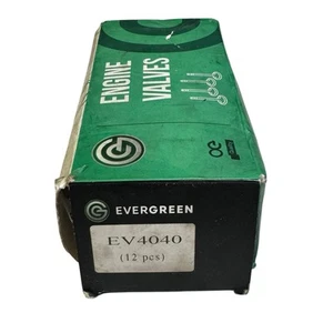 Válvulas de motor Evergreen EV4040 - Juego de 12 piezas selladas, calidad OE - Imagen 1 de 3