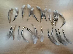YY141 Menge 25 grauer Dschungel Geflügel Hahn 3-4" Hackle Federn - Bild 1 von 4
