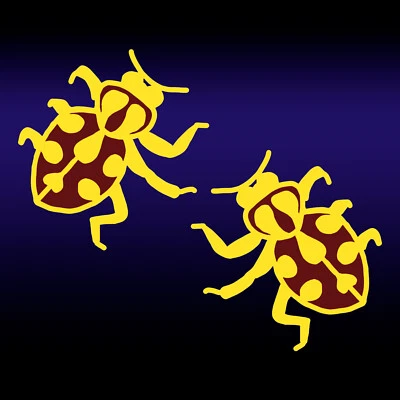 Beetle Sticker - 2 Pack of Beetle Bug Decals - Image 1 of 2