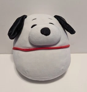 Squishmallow Peanuts Plüschtier Snoopy Hund weiß 10 Zoll Stofftier EUC - Bild 1 von 8